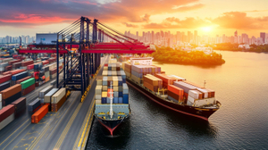 Shipping Cost From Shenzhen To Miami by FCL