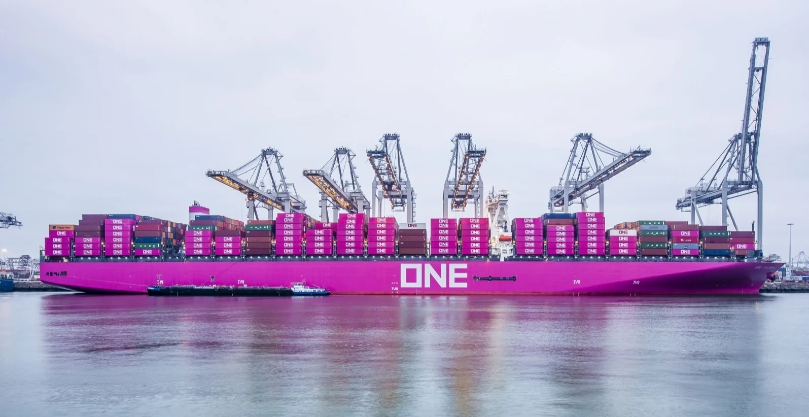 _cgi-bin_mmwebwx-bin_webwxgetmsgimg__&MsgID=1320091528294923876&skey=@crypt_31f1fb60_bd2c1cbbe48108de604d7f0b2144522d&mmweb_appid=wx_webfilehelper